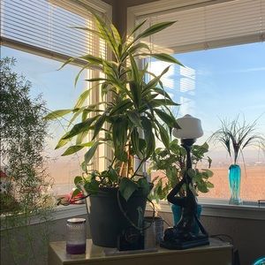 If you need to know something about sizes